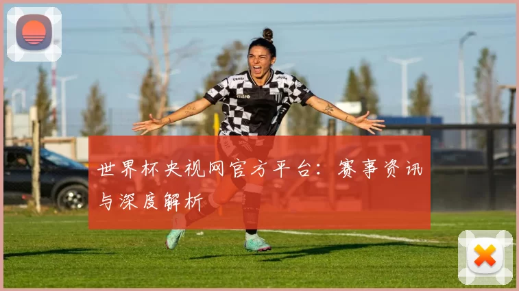 世界杯央视网官方平台:赛事资讯与深度解析