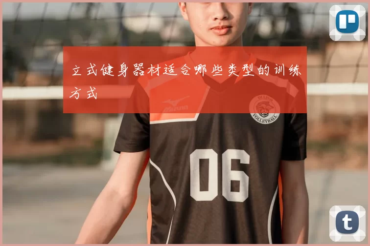 立式健身器材适合哪些类型的训练方式