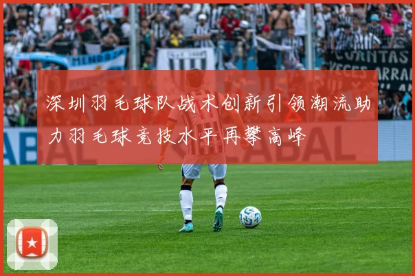 深圳羽毛球队战术创新引领潮流助力羽毛球竞技水平再攀高峰