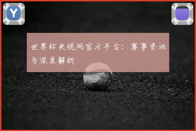 世界杯央视网官方平台:赛事资讯与深度解析