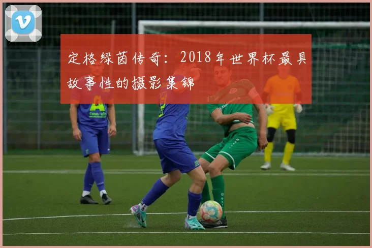 定格绿茵传奇:2018年世界杯最具故事性的摄影集锦