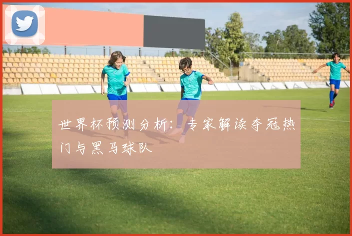 世界杯预测分析:专家解读夺冠热门与黑马球队