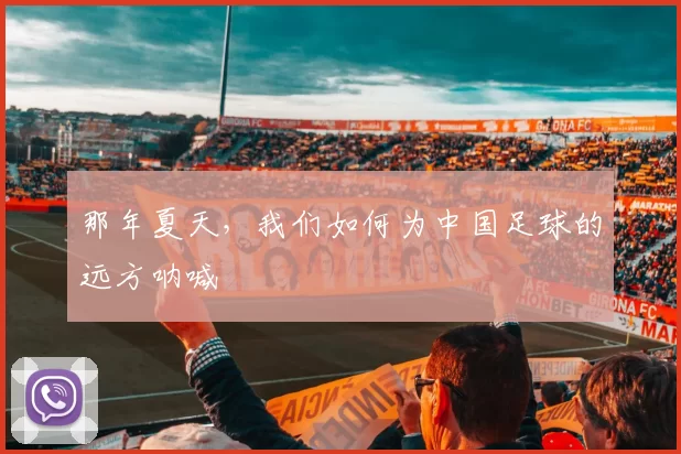 那年夏天,我们如何为中国足球的远方呐喊