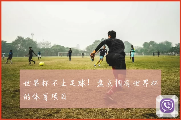 世界杯不止足球!盘点拥有世界杯的体育项目