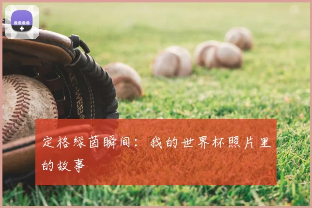 定格绿茵瞬间:我的世界杯照片里的故事