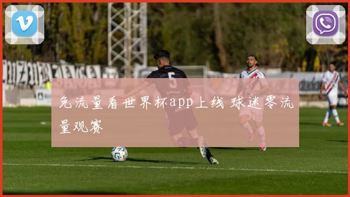 免流量看世界杯app上线 球迷零流量观赛