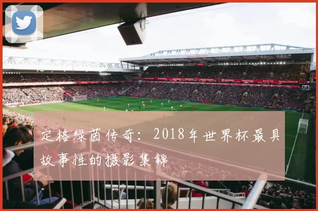 定格绿茵传奇:2018年世界杯最具故事性的摄影集锦