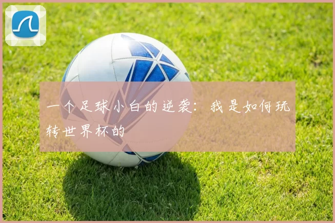 一个足球小白的逆袭:我是如何玩转世界杯的