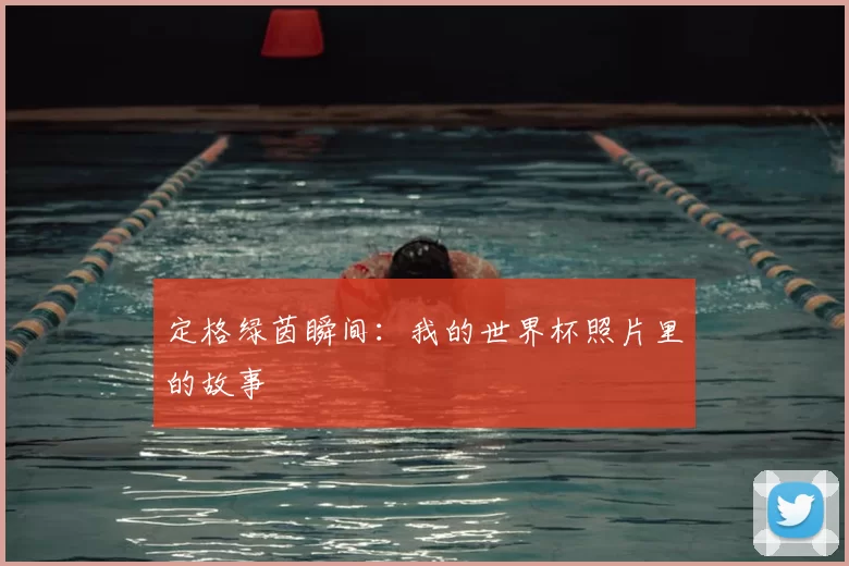 定格绿茵瞬间:我的世界杯照片里的故事