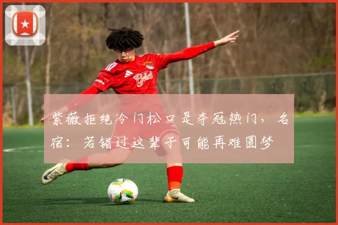 紫薇拒绝冷门松口是夺冠热门,名宿:若错过这辈子可能再难圆梦