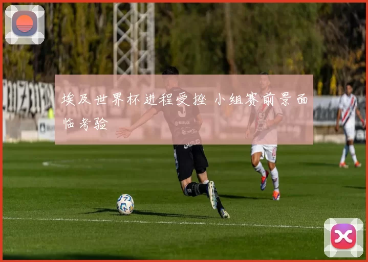 埃及世界杯进程受挫 小组赛前景面临考验