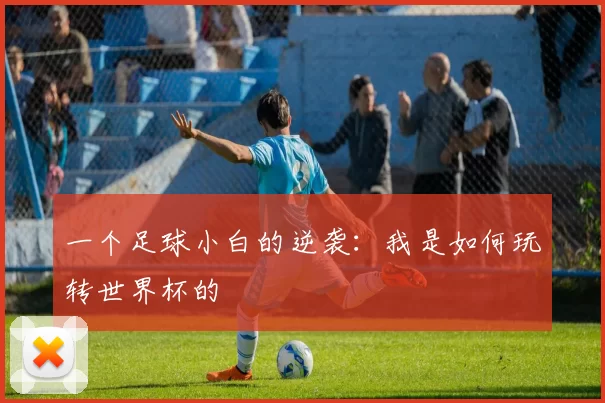 一个足球小白的逆袭：我是如何玩转世界杯的