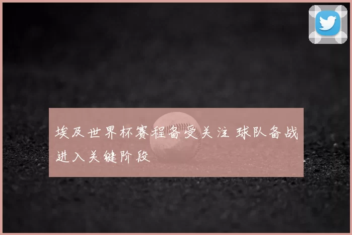埃及世界杯赛程备受关注 球队备战进入关键阶段