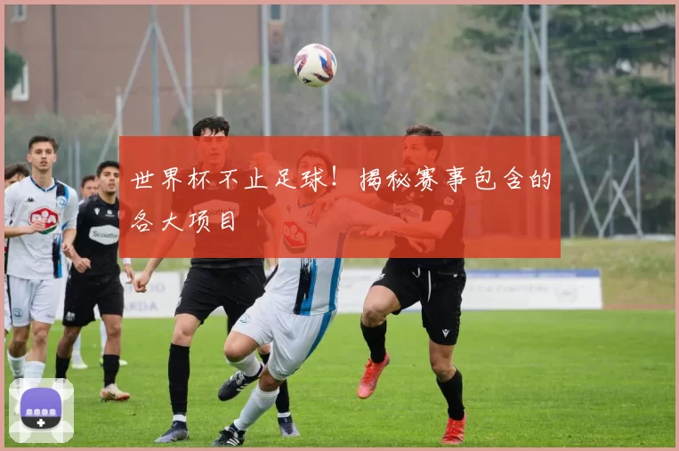 世界杯不止足球!揭秘赛事包含的各大项目